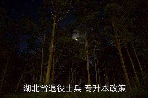  湖北省退役士兵 專升本政策