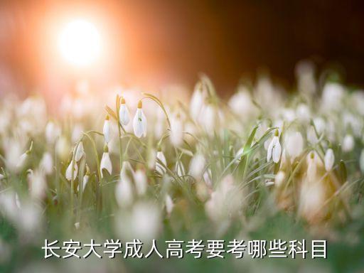  長安大學(xué)成人高考要考哪些科目