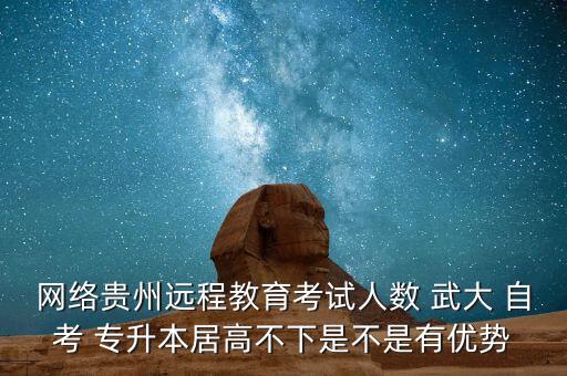 網(wǎng)絡(luò)貴州遠(yuǎn)程教育考試人數(shù) 武大 自考 專升本居高不下是不是有優(yōu)勢
