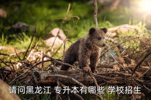 請問黑龍江 專升本有哪些 學校招生