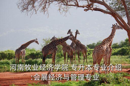  河南牧業(yè)經(jīng)濟(jì)學(xué)院 專升本專業(yè)介紹:會展經(jīng)濟(jì)與管理專業(yè)