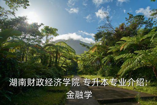 湖南財(cái)政經(jīng)濟(jì)學(xué)院 專升本專業(yè)介紹: 金融學(xué)