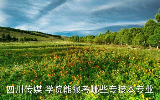 四川傳媒 學(xué)院能報考哪些專接本專業(yè)