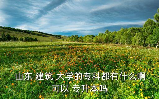 山東 建筑 大學的?？贫加惺裁窗】梢?專升本嗎