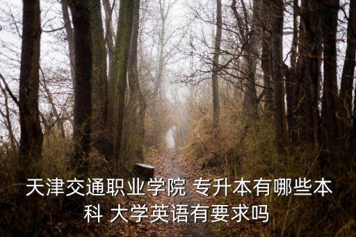 天津可以專升本的大學(xué)有哪些學(xué)校名單