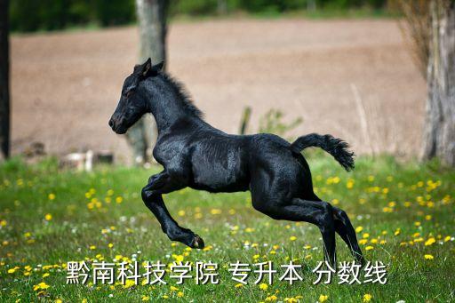 黔南科技學(xué)院 專(zhuān)升本 分?jǐn)?shù)線