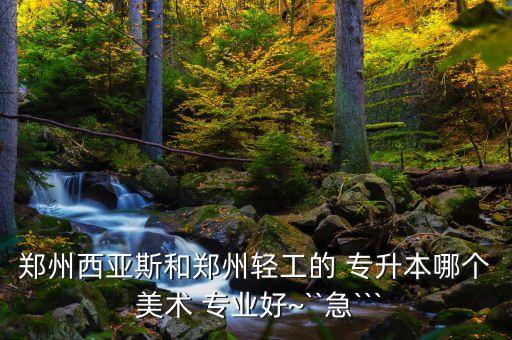 鄭州西亞斯和鄭州輕工的 專升本哪個 美術(shù) 專業(yè)好~``急```