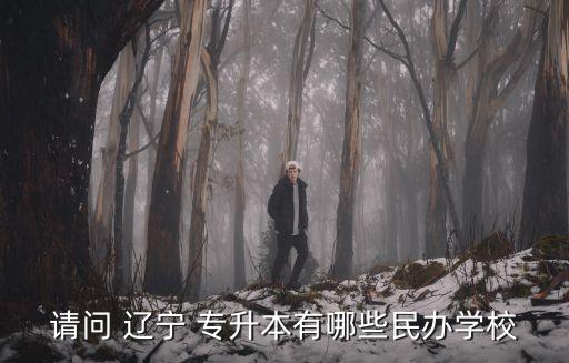 請問 遼寧 專升本有哪些民辦學校