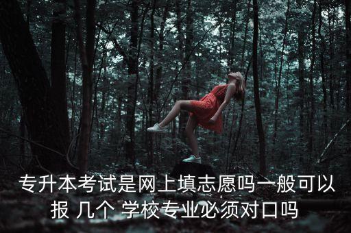  專升本考試是網上填志愿嗎一般可以報 幾個 學校專業(yè)必須對口嗎