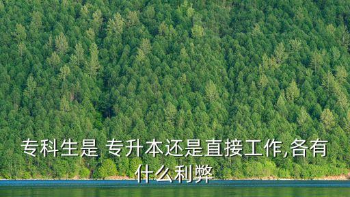?？粕?專升本還是直接工作,各有什么利弊