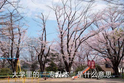 大學里的“ 專升本”是什么意思