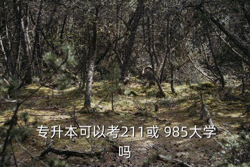  專(zhuān)升本可以考211或 985大學(xué)嗎