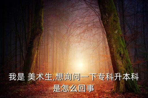 我是 美術(shù)生,想詢問一下?？粕究剖窃趺椿厥? class=