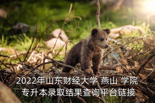 2022年山東財(cái)經(jīng)大學(xué) 燕山 學(xué)院 專(zhuān)升本錄取結(jié)果查詢(xún)平臺(tái)鏈接