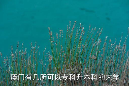 福建廈門有哪些可以專升本,廈門專升本培訓機構(gòu)有哪些