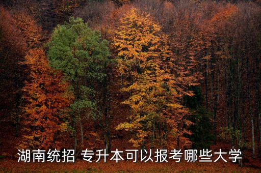 湖南統(tǒng)招 專升本可以報考哪些大學
