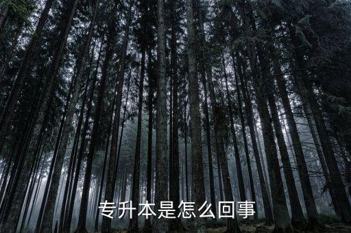 專(zhuān)升本報(bào)名時(shí)間2015