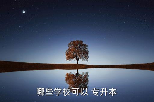 哪些學?？梢?專升本