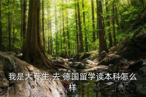 德國 專升本,德國專升本的學(xué)校排名