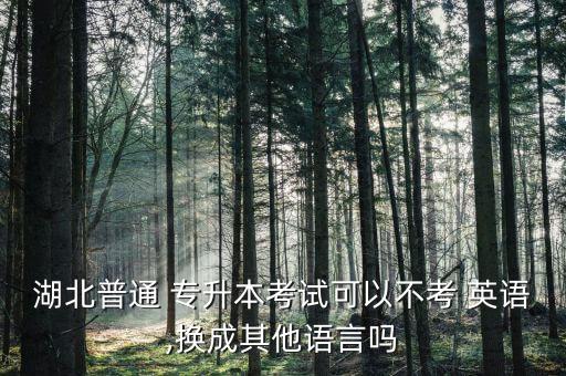 專升本不用考英語,湖南專升本不用考英語的學校