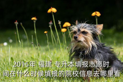 2015年 福建 專升本填報志愿時間在什么時候填報的院校信息去哪里看