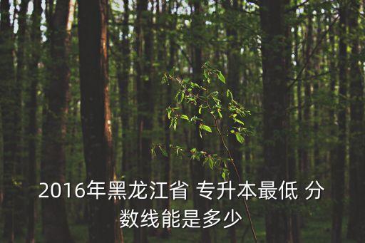 物流管理專升本分?jǐn)?shù)線,銅陵學(xué)院物流管理專升本分?jǐn)?shù)線