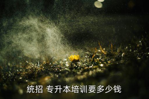 統(tǒng)招 專(zhuān)升本培訓(xùn)要多少錢(qián)