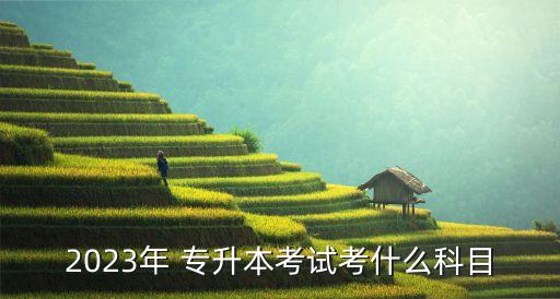 2023年 專(zhuān)升本考試考什么科目