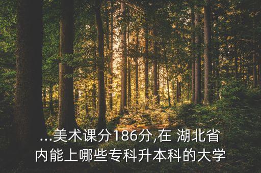 ...美術(shù)課分186分,在 湖北省內(nèi)能上哪些?？粕究频拇髮W(xué)
