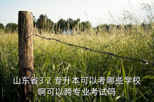煙臺音樂教育專升本,師大教育專升本煙臺校區(qū)地址