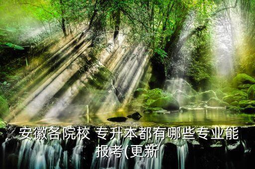 2018安徽普通高校專升本,云南省2018年普通高校專升本大學(xué)語文答案