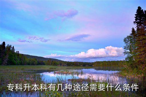 ?？粕究朴袔追N途徑需要什么條件