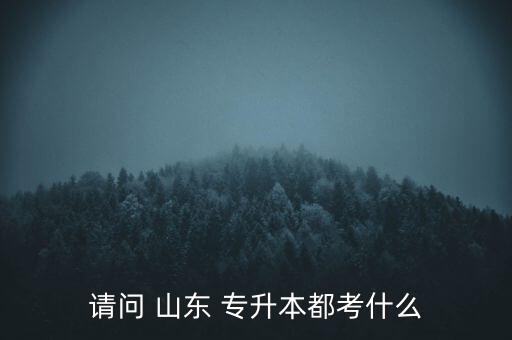 請問 山東 專升本都考什么