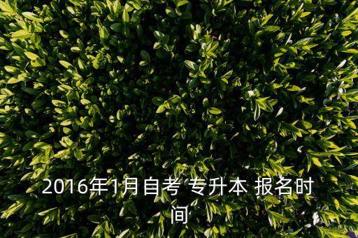 2016年1月自考 專升本 報(bào)名時(shí)間