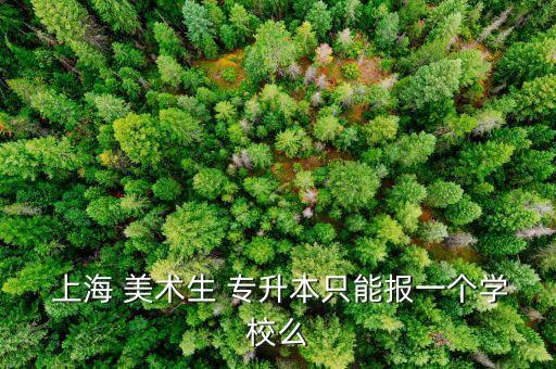 上海美術(shù)類專升本大學(xué),上海專升本可以報(bào)考哪些大學(xué)