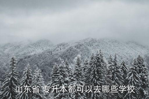  山東省 專升本都可以去哪些學(xué)校