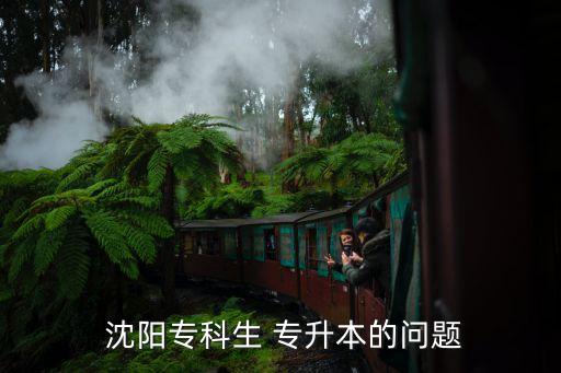  沈陽(yáng)專(zhuān)科生 專(zhuān)升本的問(wèn)題