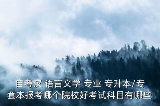 專升本中國(guó)語(yǔ)言文學(xué)類專業(yè),廣東專升本文學(xué)類專業(yè)有哪些