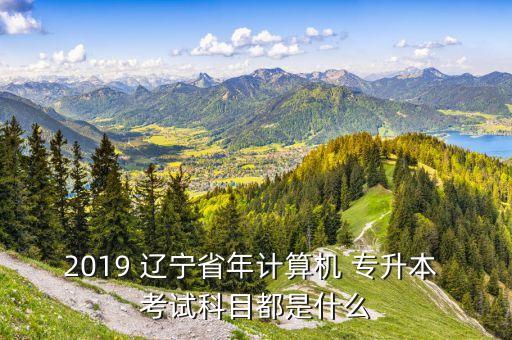 2019 遼寧省年計(jì)算機(jī) 專(zhuān)升本 考試科目都是什么