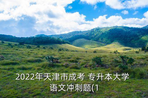 2022年天津市成考 專(zhuān)升本大學(xué) 語(yǔ)文沖刺題(1