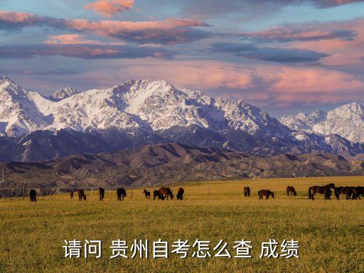 請問 貴州自考怎么查 成績