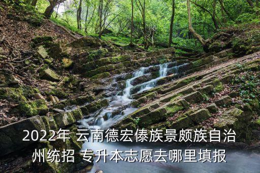 2022年 云南德宏傣族景頗族自治州統(tǒng)招 專升本志愿去哪里填報