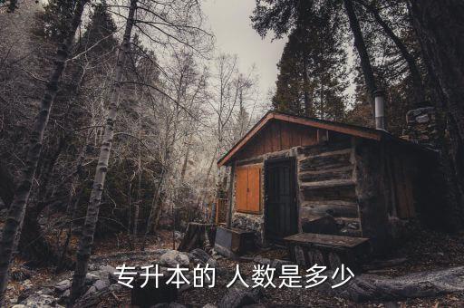  專升本的 人數(shù)是多少