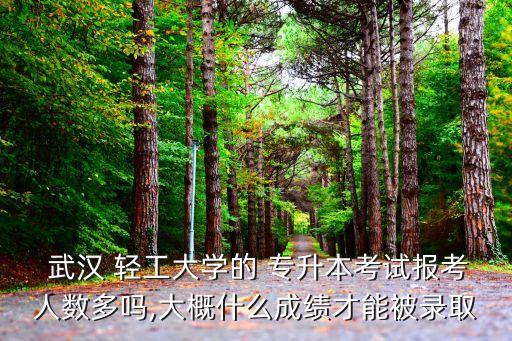  武漢 輕工大學(xué)的 專升本考試報考人數(shù)多嗎,大概什么成績才能被錄取