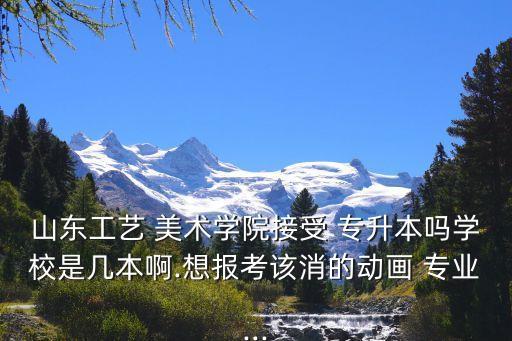 山東工藝 美術(shù)學(xué)院接受 專升本嗎學(xué)校是幾本啊.想報考該消的動畫 專業(yè)...