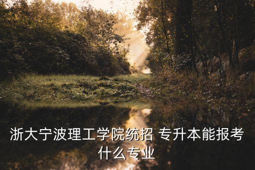 浙大寧波理工學(xué)院統(tǒng)招 專升本能報考什么專業(yè)