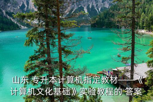  山東 專升本計算機指定教材——《計算機文化基礎》實驗教程的 答案
