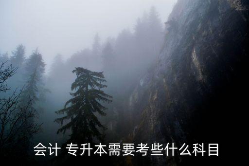 財(cái)務(wù)會(huì)計(jì)專升本考試題