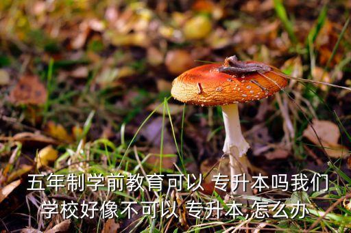  五年制學前教育可以 專升本嗎我們學校好像不可以 專升本,怎么辦