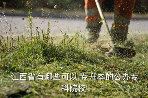  江西省有哪些可以 專升本的公辦?？圃盒? class=